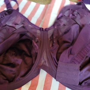 NEW ELOMI CATE Bra